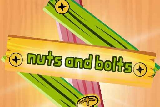 Nuts and Bolts Puzzle